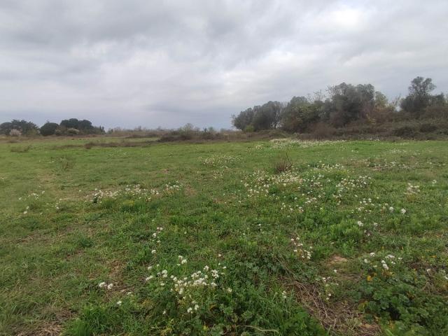 Terrain vente à Narbonne, Salles-d'aude