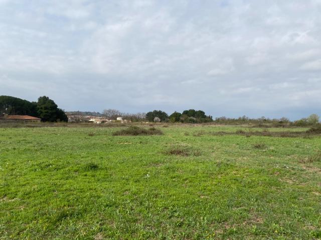 Terrain vente à Narbonne, Salles-d'aude