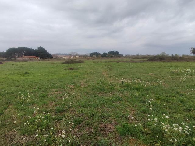 Terrain vente à Narbonne, Salles-d'aude