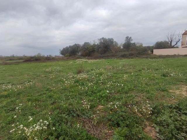 Terrain vente à Narbonne, Salles-d'aude