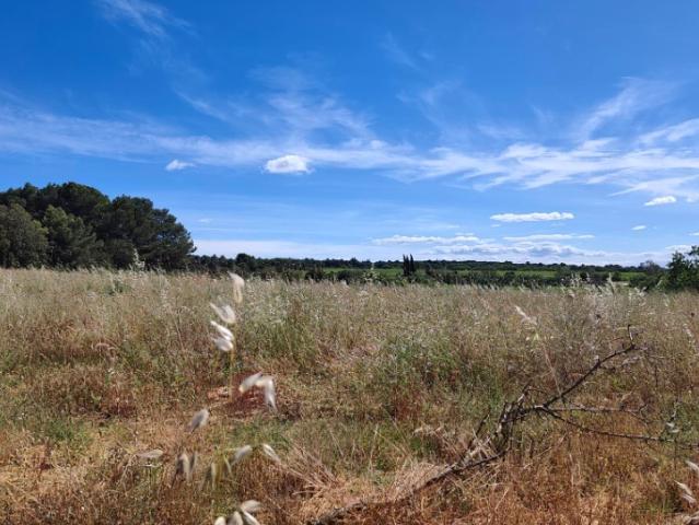 Terrain vente à Narbonne, Salles-d'aude
