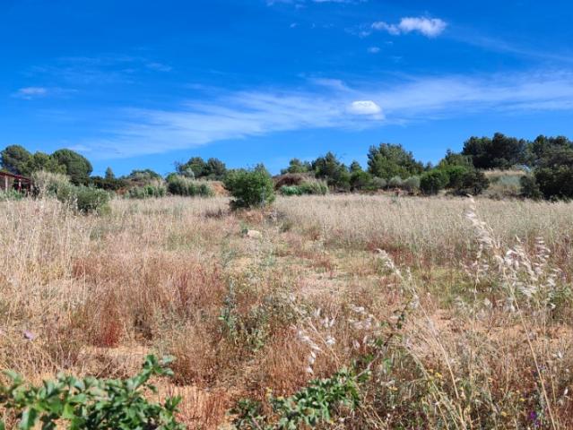 Terrain vente à Narbonne, Salles-d'aude