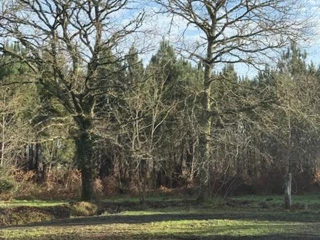 Terrain vente à Arcachon, Salles