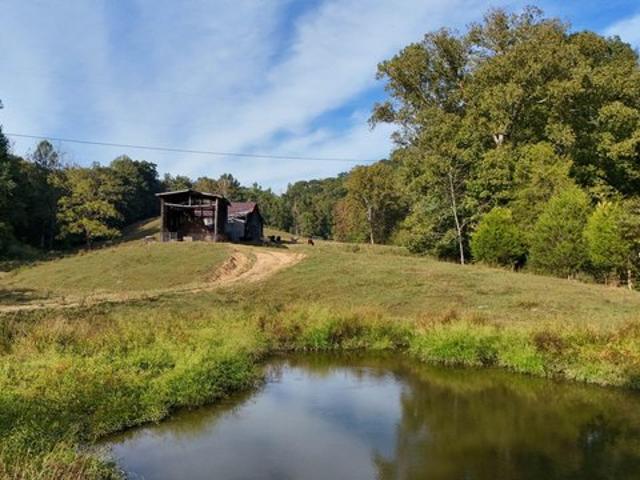 Land for sale in Fort Blackmore, Scott County