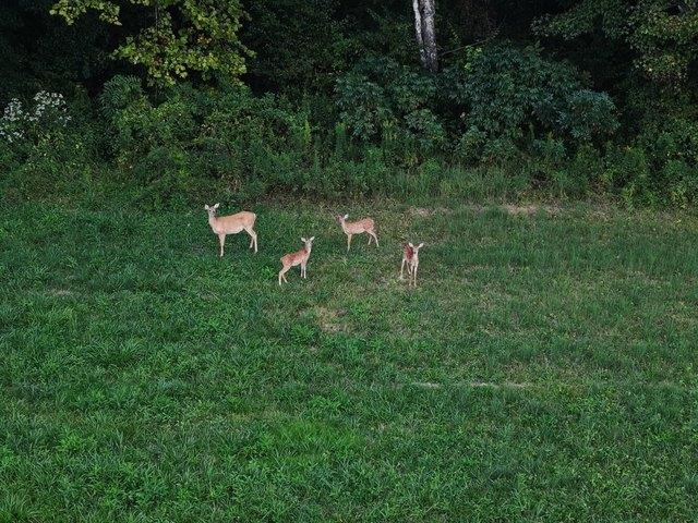 Land for sale in Laurel, Kentucky