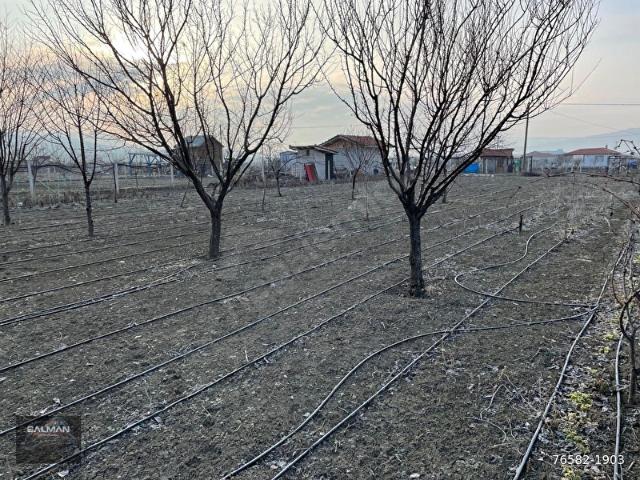 Saraylı, Çorum Merkez içerisinde satılık Arsa