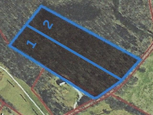 Land for sale in Tennessee