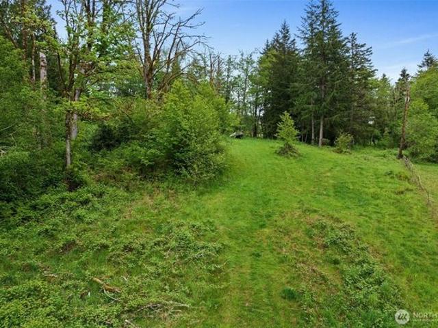Land for sale in Mossyrock, Lewis County
