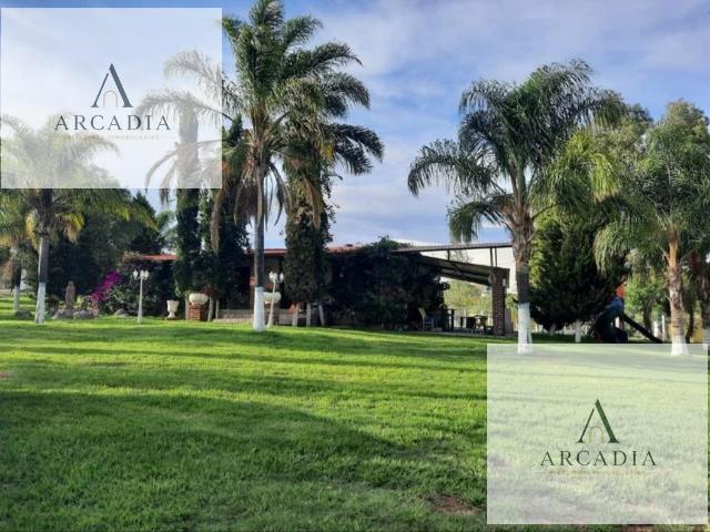 Terreno en renta en Jesús María, Aguascalientes
