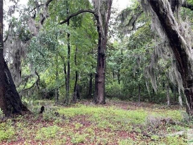 Land for sale in Savannah