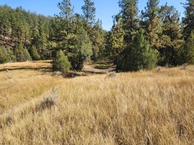Land for sale in Wyoming