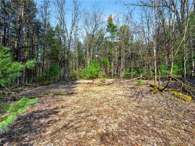Land for sale in Bernhards Bay, New York