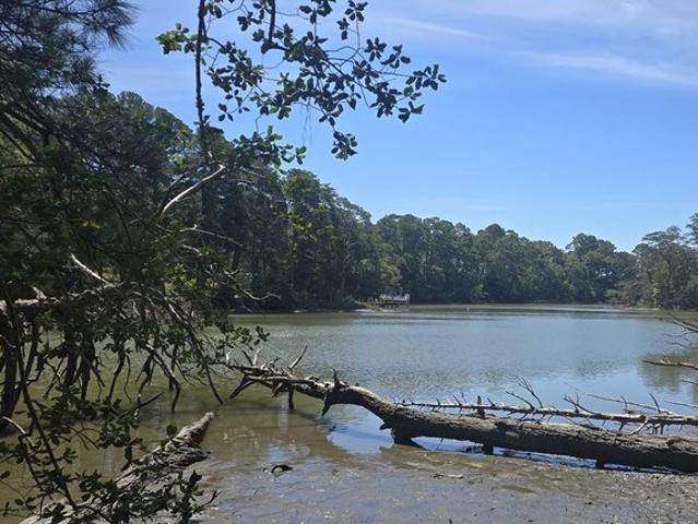 Land for sale in Virginia