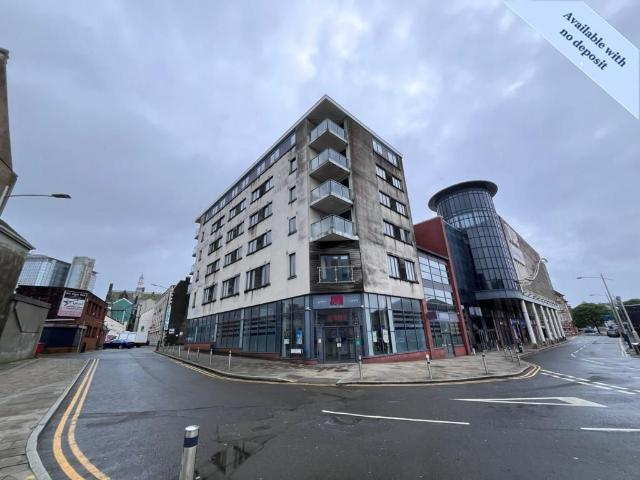 Apartment for rent in Mount Pleasant, Nangreaves