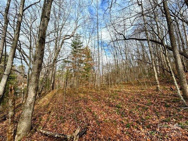 Land for sale in Saluda, North Carolina