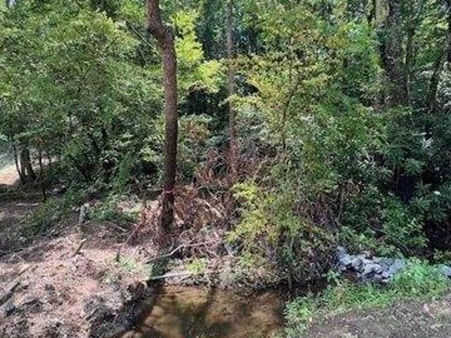 Land for sale in Saluda, North Carolina