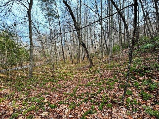 Land for sale in Saluda, North Carolina