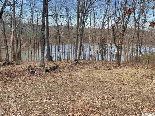 Land for sale in Goreville, Illinois