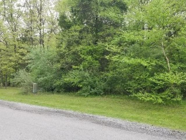Land for sale in Goreville, Illinois