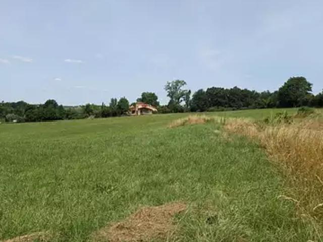 Terrain vente à Albi, Salvagnac