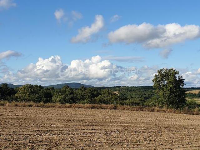 Terrain vente à Albi, Salvagnac