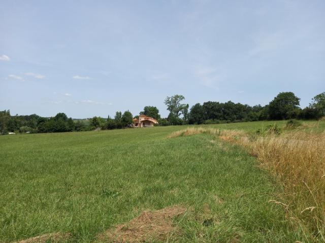 Terrain vente à Albi, Salvagnac