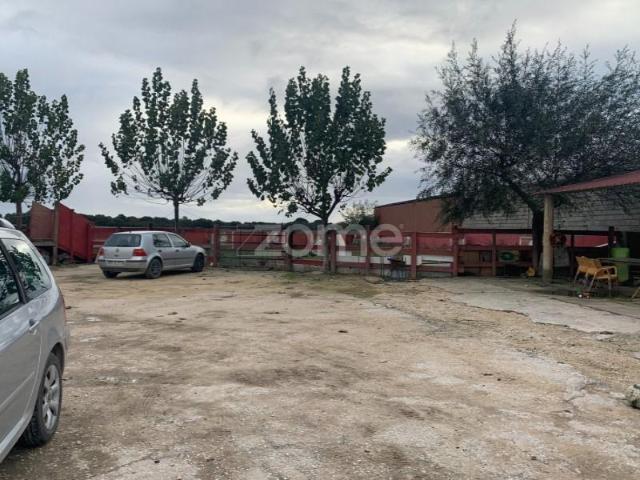 Loja venda em Salvaterra De Magos, Santarém