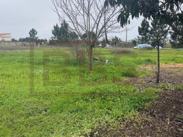Terreno venda em Salvaterra De Magos, Santarém