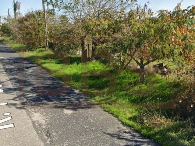 Terreno venda em Salvaterra De Magos, Santarém
