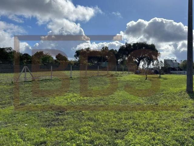 Terreno venda em Salvaterra De Magos, Santarém