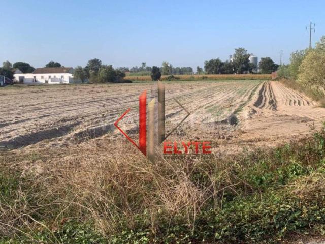 Terreno venda em Salvaterra De Magos, Santarém