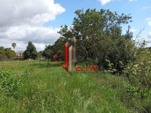Terreno venda em Salvaterra De Magos, Santarém