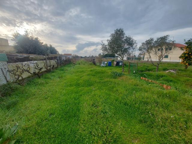 Terreno venda em Salvaterra De Magos, Santarém