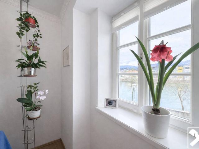 Apartment kaufen in Adneter Riedl, Hallein