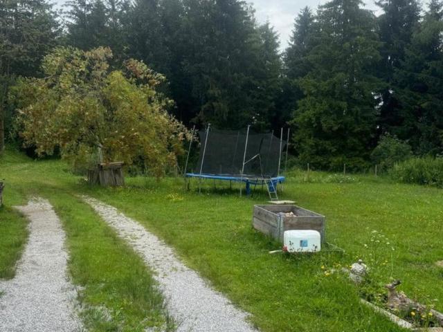 Gewerbe kaufen in Altstadt, Salzburg