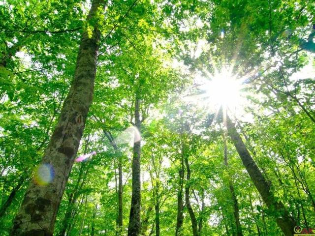 Gewerbe kaufen in Altstadt, Salzburg
