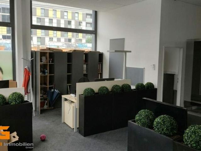 Gewerbe mieten in Hagenau, Salzburg