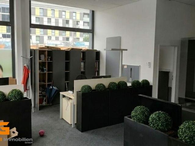 Gewerbe mieten in Hagenau, Salzburg