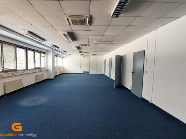 Gewerbe mieten in Hagenau, Salzburg