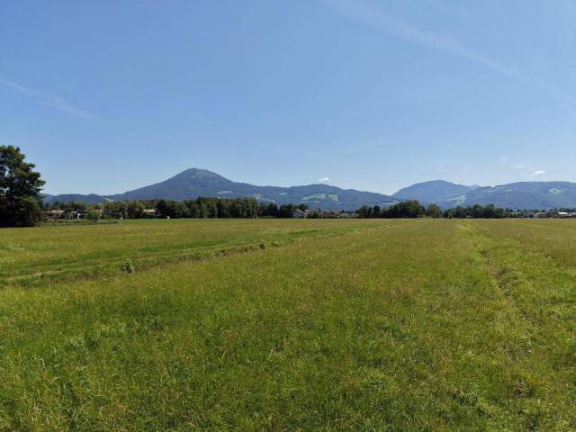 Immobilie kaufen in Salzburg