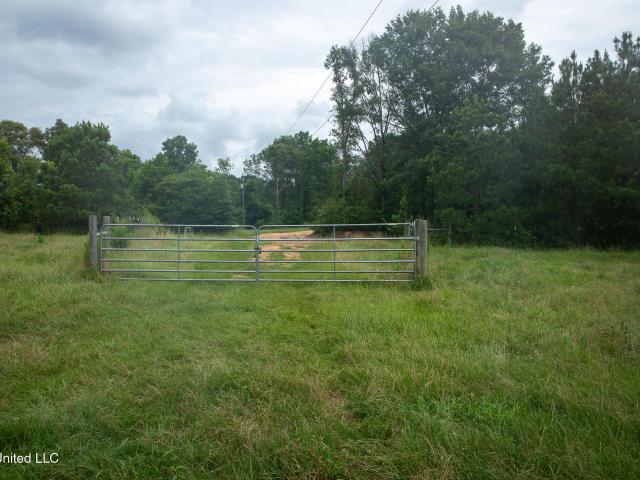 Land for sale in Mount Olive, Mississippi