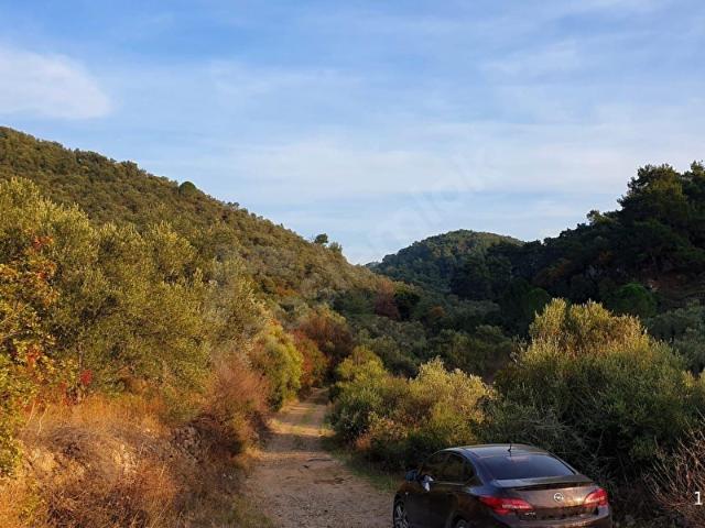 Dikili, İzmir içerisinde satılık Arsa