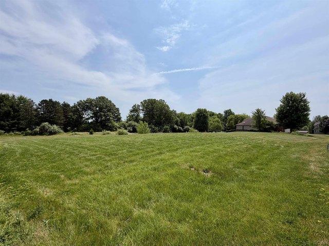Land for sale in Britton, Michigan