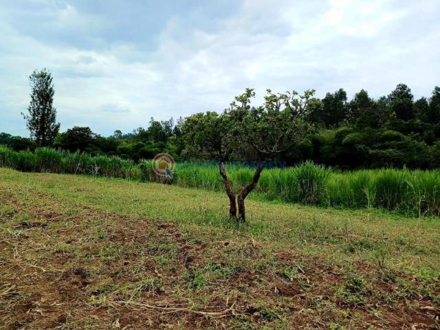 Land for sale in Makuyu, Maragwa