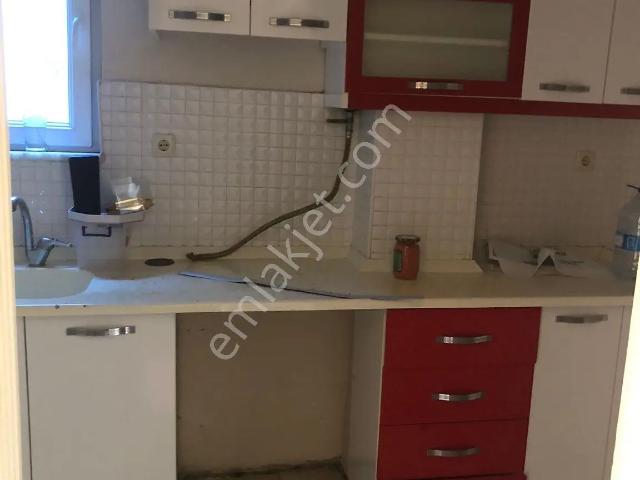 İstanbul Merkez, İstanbul içerisinde kiralık mülk