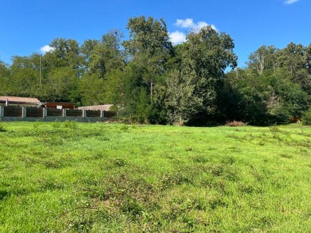 Terrain vente à France métropolitaine, Samazan