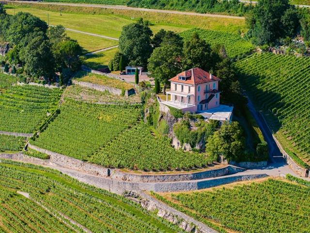 Einfamilienhaus kaufen in Chexbres, Waadt