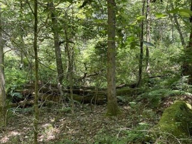 Land for sale in Bristol, Massachusetts