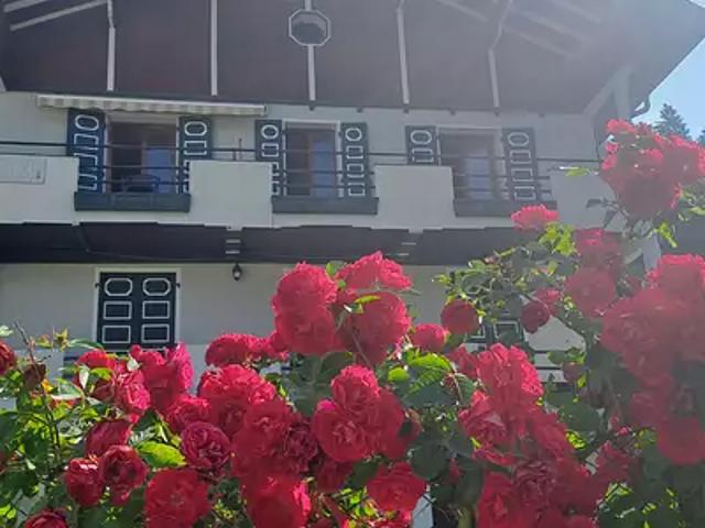 Appartement vente à Bonneville, Samoëns