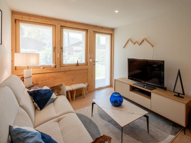 Appartement vente à Bonneville, Samoëns